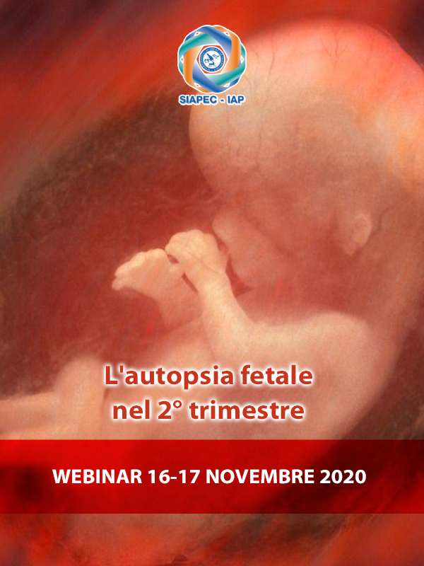 Programma L'autopsia fetale nel 2° trimestre